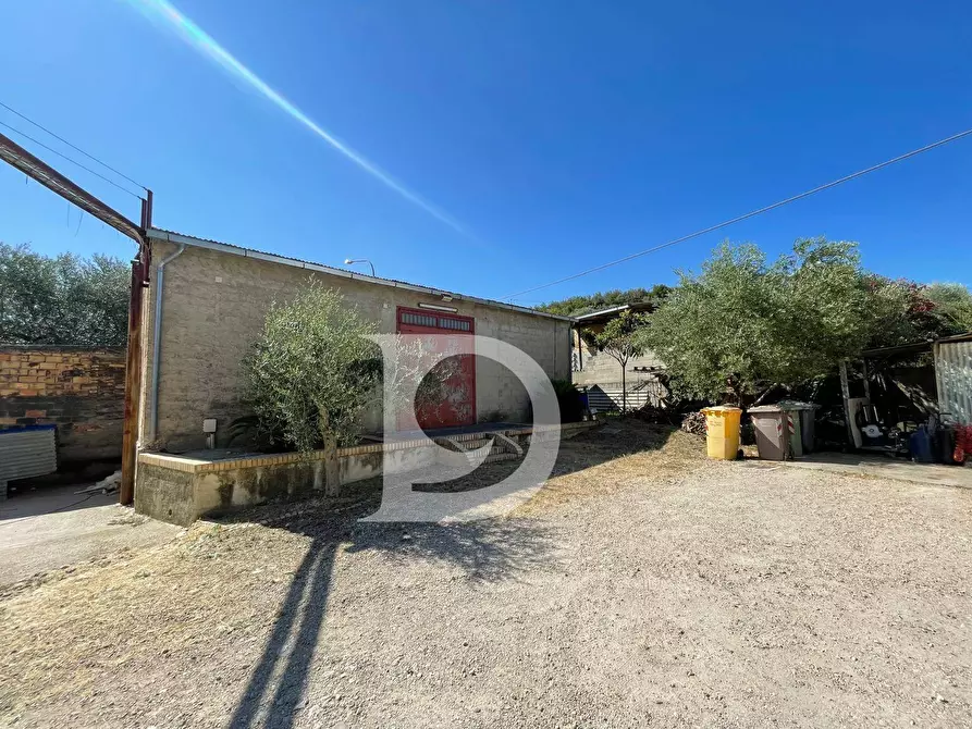 Immagine 53 di Casa semindipendente in vendita  in Contrada COLLEPALMA 6/7 a Loreto Aprutino