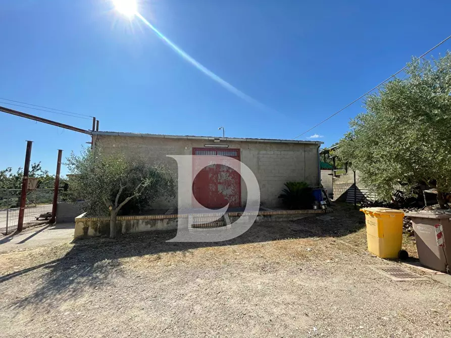 Immagine 54 di Casa semindipendente in vendita  in Contrada COLLEPALMA 6/7 a Loreto Aprutino