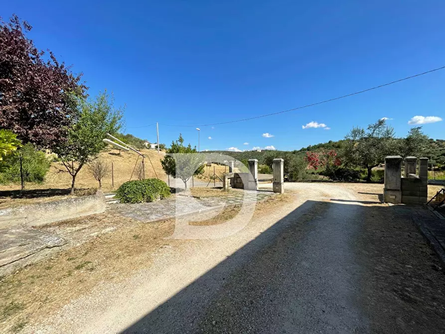 Immagine 56 di Casa semindipendente in vendita  in Contrada COLLEPALMA 6/7 a Loreto Aprutino