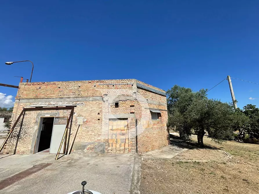 Immagine 59 di Casa semindipendente in vendita  in Contrada COLLEPALMA 6/7 a Loreto Aprutino