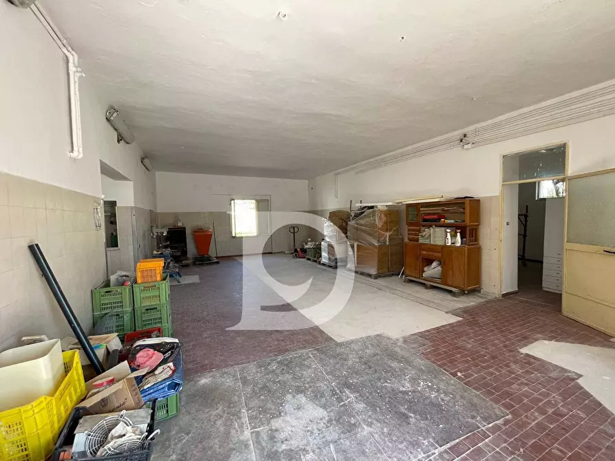 Immagine 60 di Casa semindipendente in vendita  in Contrada COLLEPALMA 6/7 a Loreto Aprutino