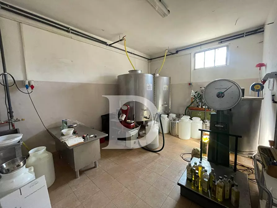 Immagine 62 di Casa semindipendente in vendita  in Contrada COLLEPALMA 6/7 a Loreto Aprutino