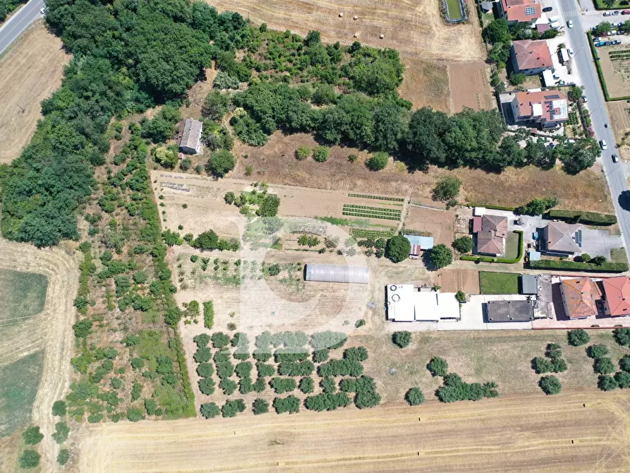 Immagine 4 di Casa indipendente in vendita  in Contrada Remartello a Loreto Aprutino