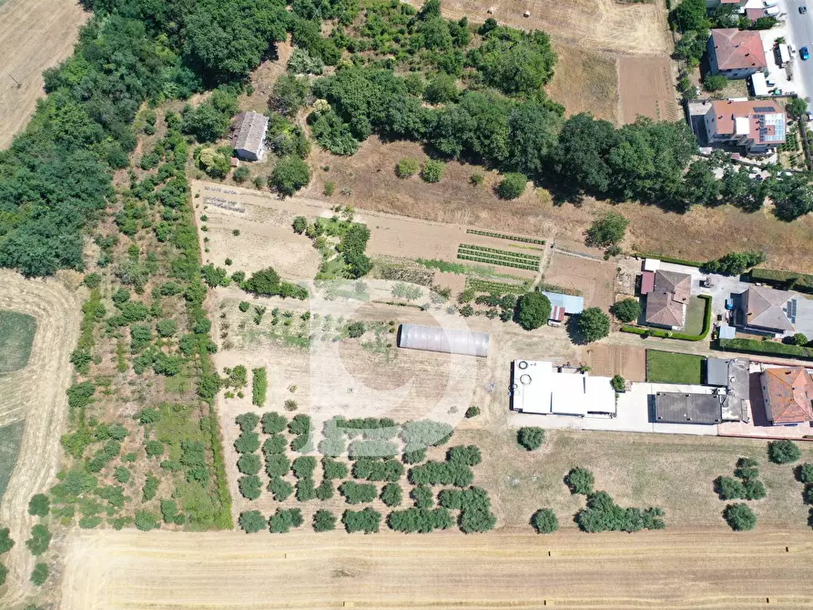 Immagine 5 di Casa indipendente in vendita  in Contrada Remartello a Loreto Aprutino