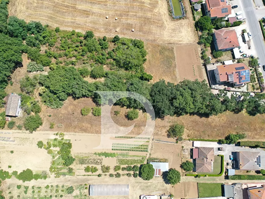 Immagine 6 di Casa indipendente in vendita  in Contrada Remartello a Loreto Aprutino