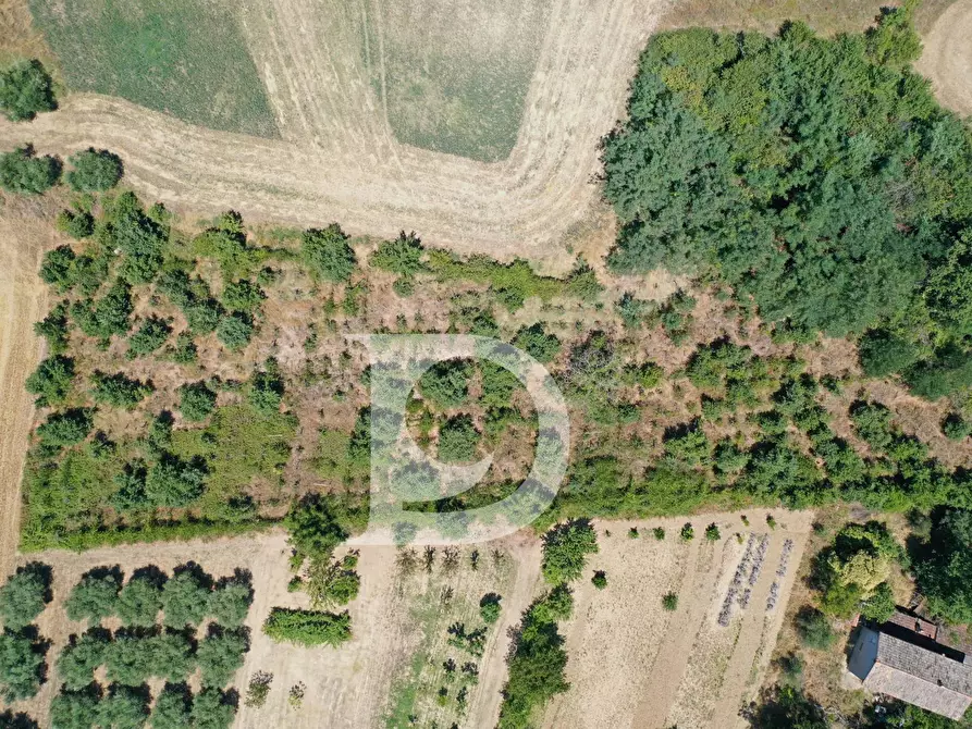 Immagine 7 di Casa indipendente in vendita  in Contrada Remartello a Loreto Aprutino