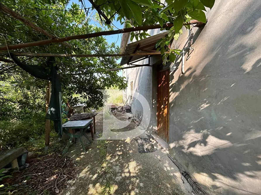 Immagine 3 di Casa indipendente in vendita  in Contrada Remartello a Loreto Aprutino