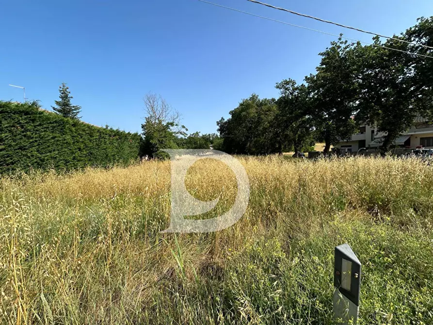 Immagine 9 di Casa indipendente in vendita  in Contrada Remartello a Loreto Aprutino