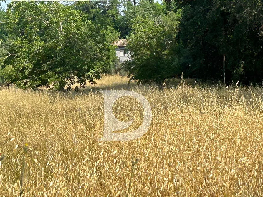 Immagine 10 di Casa indipendente in vendita  in Contrada Remartello a Loreto Aprutino
