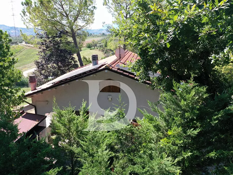 Immagine 8 di Casa indipendente in vendita  in Via dei Platani 88 a Pianella