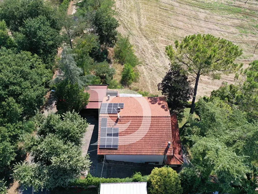 Immagine 9 di Casa indipendente in vendita  in Via dei Platani 88 a Pianella