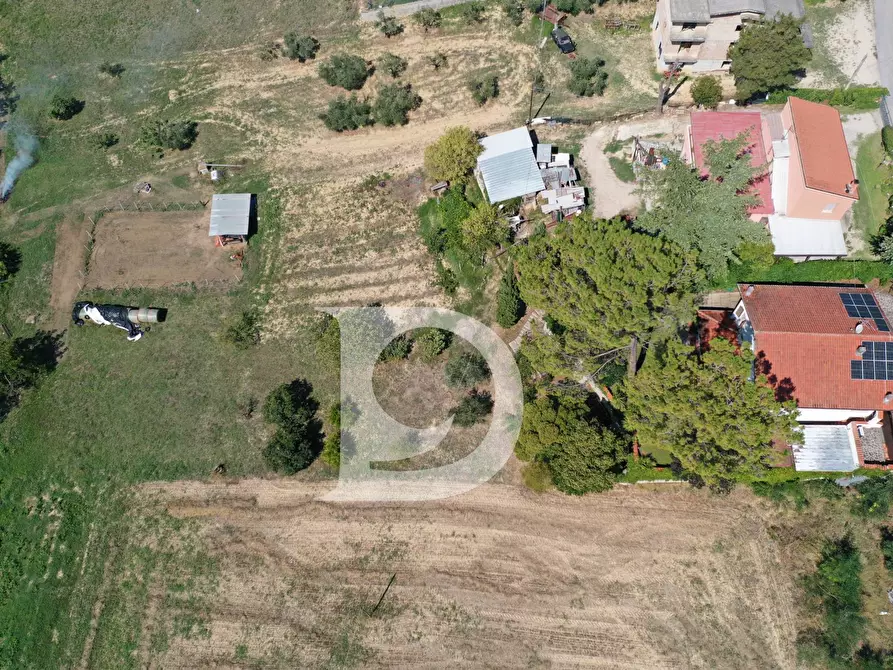 Immagine 14 di Casa indipendente in vendita  in Via dei Platani 88 a Pianella