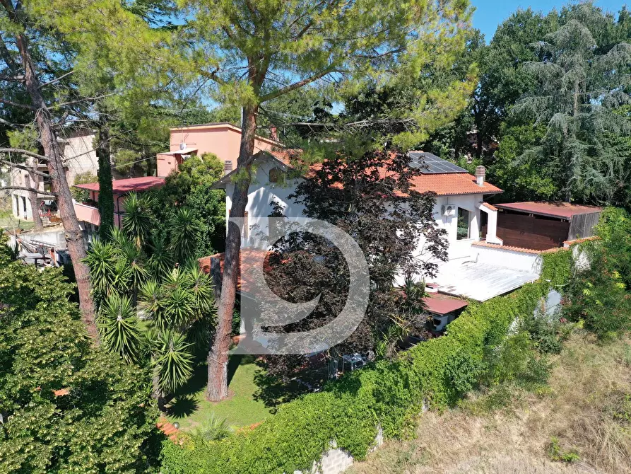 Immagine 18 di Casa indipendente in vendita  in Via dei Platani 88 a Pianella