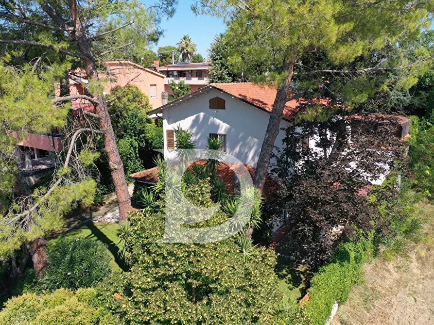 Immagine 20 di Casa indipendente in vendita  in Via dei Platani 88 a Pianella