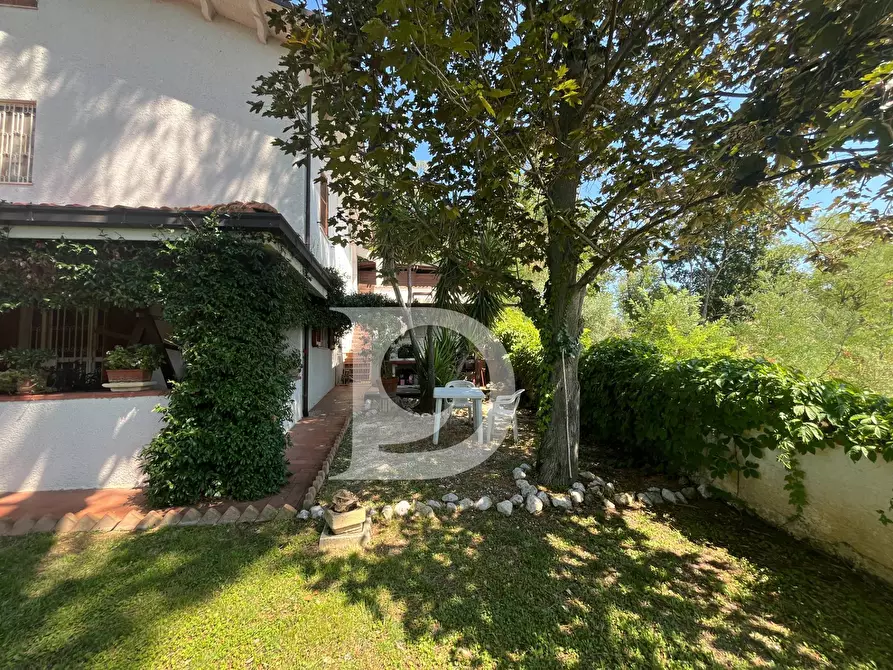 Immagine 90 di Casa indipendente in vendita  in Via dei Platani 88 a Pianella