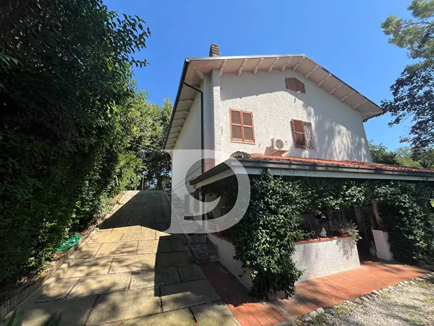 Immagine 99 di Casa indipendente in vendita  in Via dei Platani 88 a Pianella