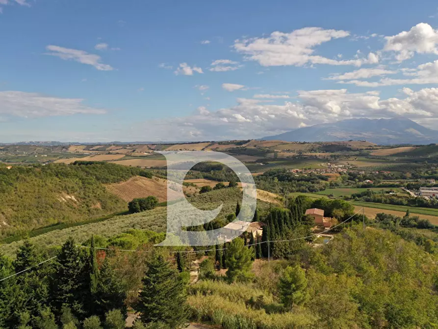 Immagine 6 di Agriturismo in vendita  in Contrada Fiorano a Loreto Aprutino