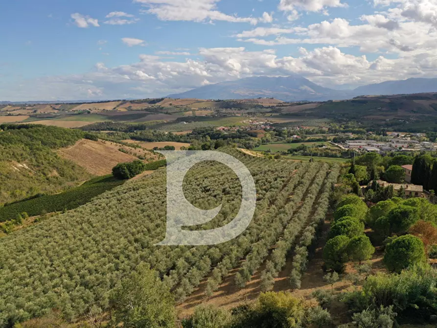 Immagine 3 di Agriturismo in vendita  in Contrada Fiorano a Loreto Aprutino