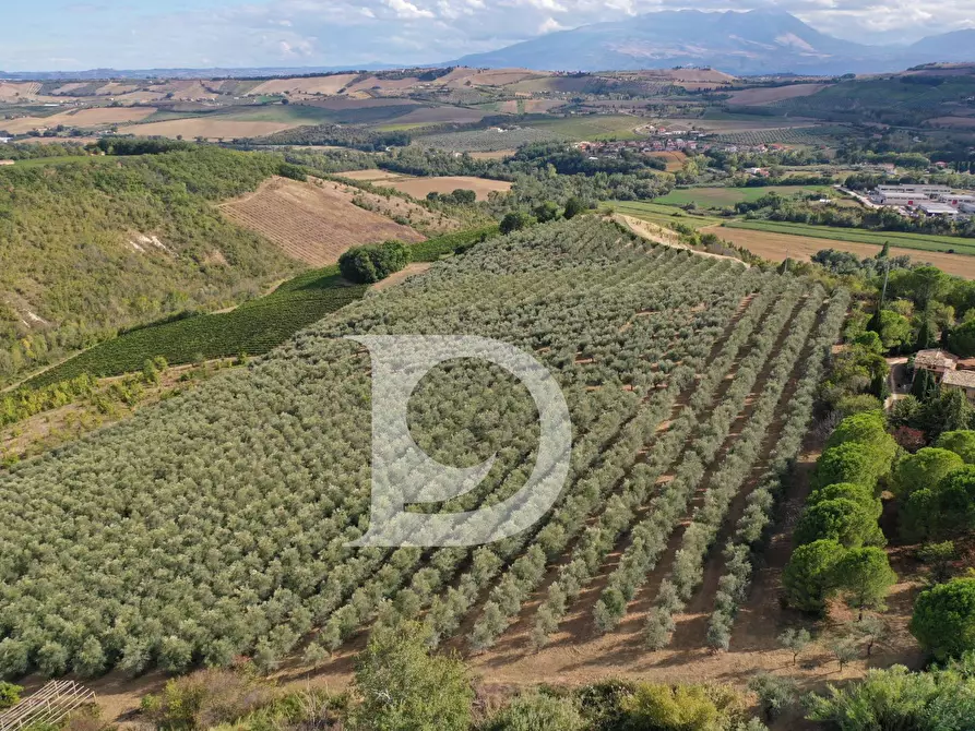 Immagine 2 di Agriturismo in vendita  in Contrada Fiorano a Loreto Aprutino