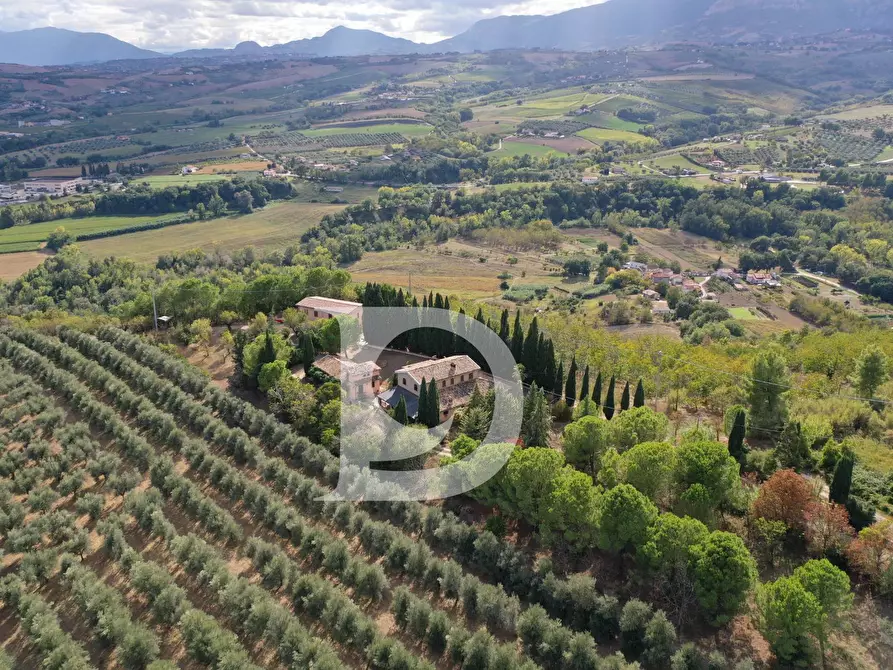 Immagine 5 di Agriturismo in vendita  in Contrada Fiorano a Loreto Aprutino