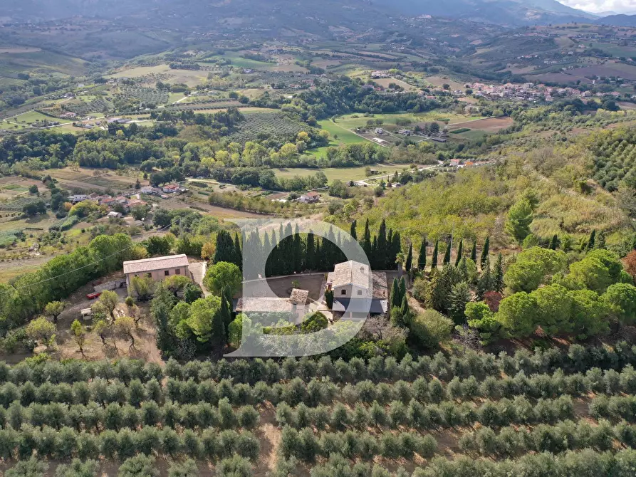 Immagine 4 di Agriturismo in vendita  in Contrada Fiorano a Loreto Aprutino