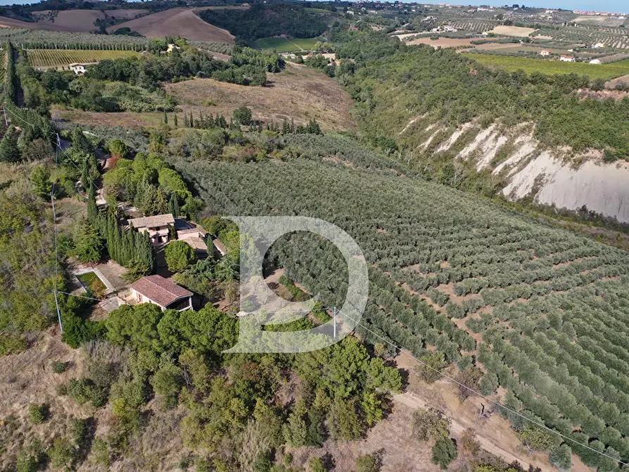Immagine 7 di Agriturismo in vendita  in Contrada Fiorano a Loreto Aprutino