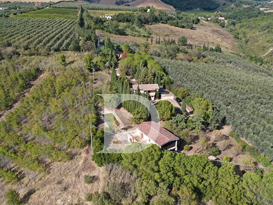 Immagine 8 di Agriturismo in vendita  in Contrada Fiorano a Loreto Aprutino