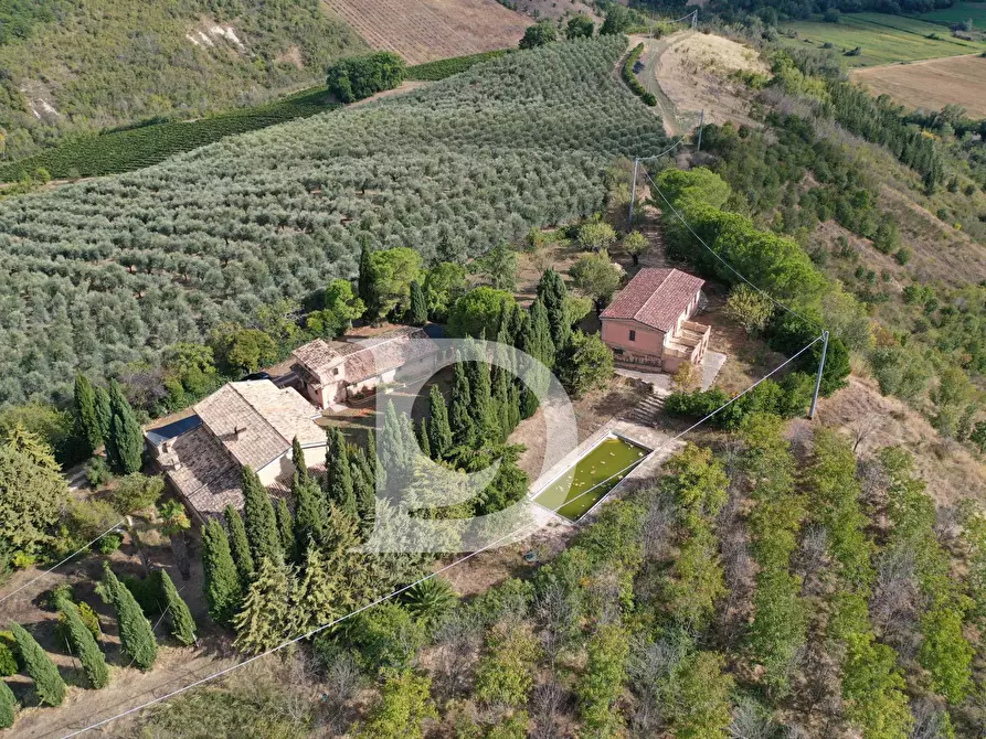 Immagine 16 di Agriturismo in vendita  in Contrada Fiorano a Loreto Aprutino