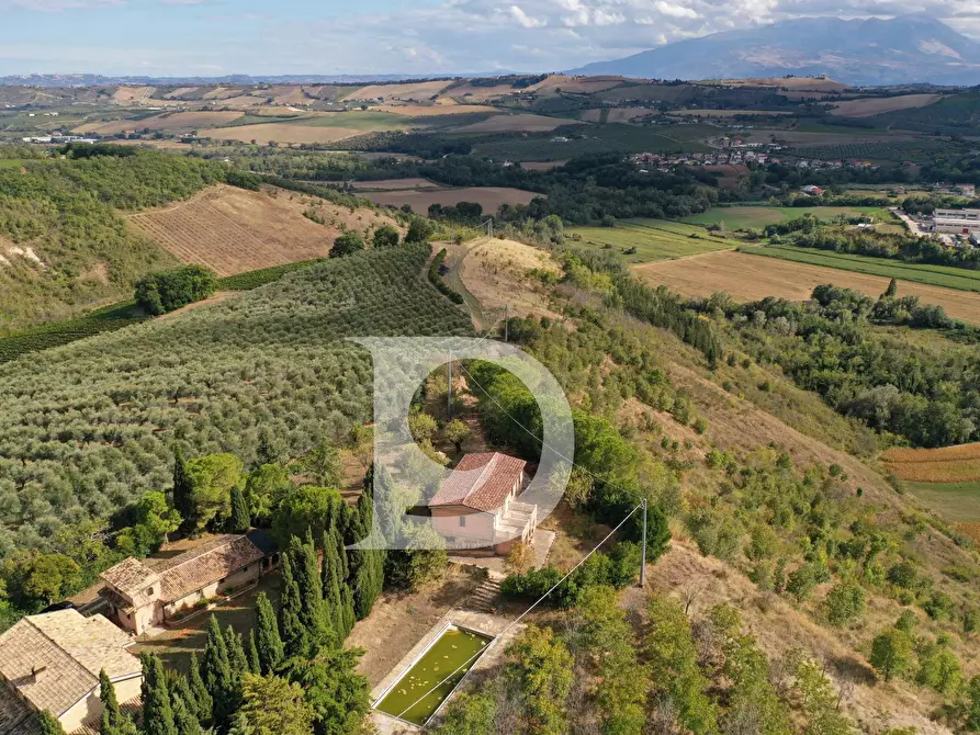 Immagine 15 di Agriturismo in vendita  in Contrada Fiorano a Loreto Aprutino