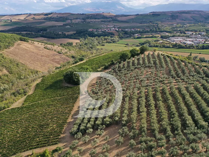 Immagine 13 di Agriturismo in vendita  in Contrada Fiorano a Loreto Aprutino