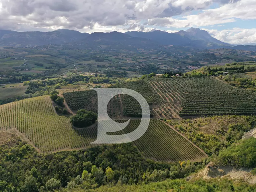 Immagine 12 di Agriturismo in vendita  in Contrada Fiorano a Loreto Aprutino