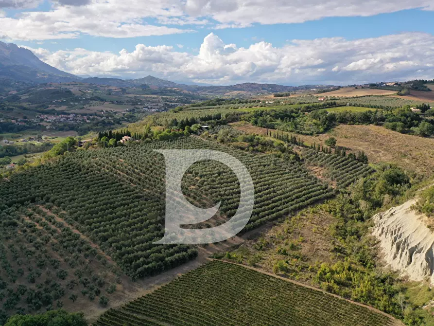 Immagine 11 di Agriturismo in vendita  in Contrada Fiorano a Loreto Aprutino