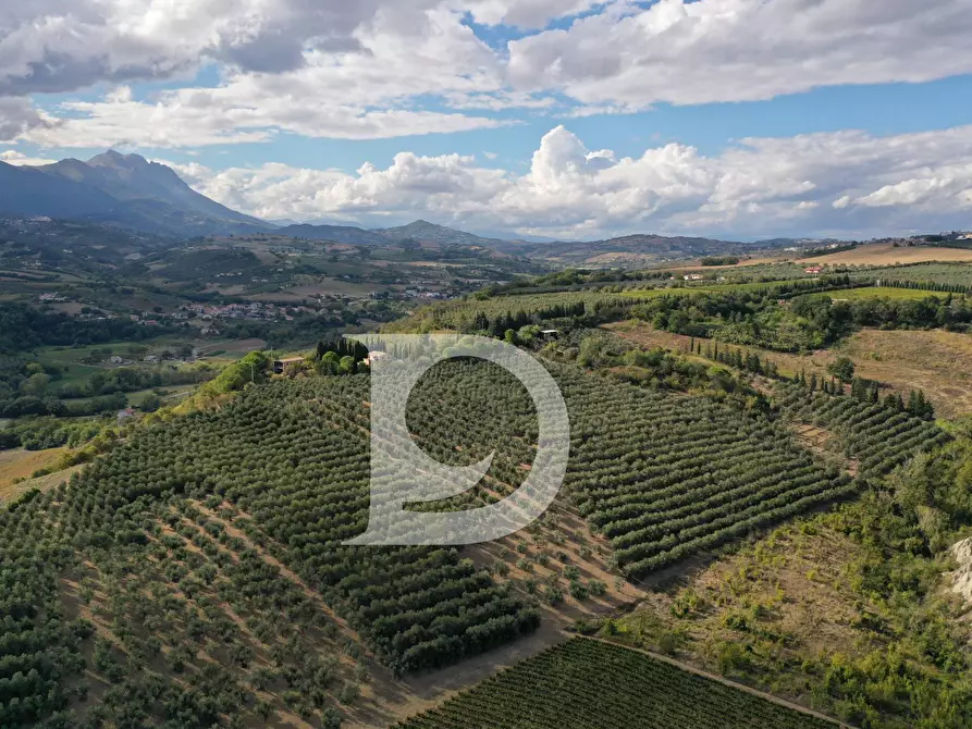 Immagine 10 di Agriturismo in vendita  in Contrada Fiorano a Loreto Aprutino