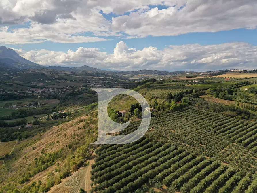 Immagine 9 di Agriturismo in vendita  in Contrada Fiorano a Loreto Aprutino