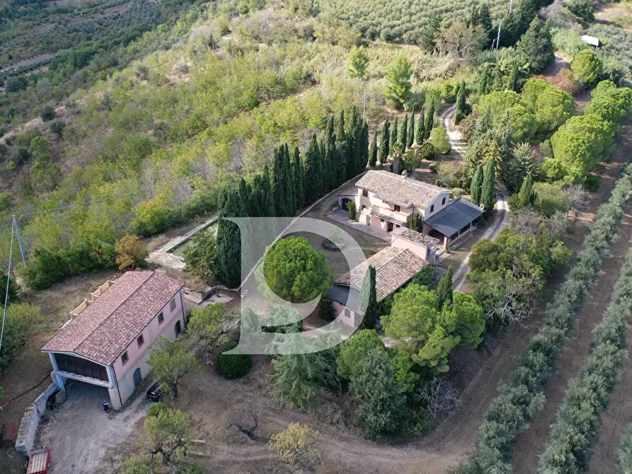 Immagine 29 di Agriturismo in vendita  in Contrada Fiorano a Loreto Aprutino