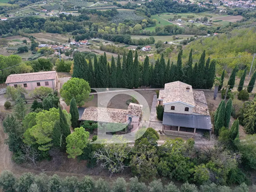 Immagine 31 di Agriturismo in vendita  in Contrada Fiorano a Loreto Aprutino