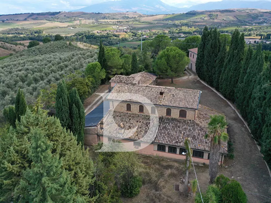 Immagine 30 di Agriturismo in vendita  in Contrada Fiorano a Loreto Aprutino