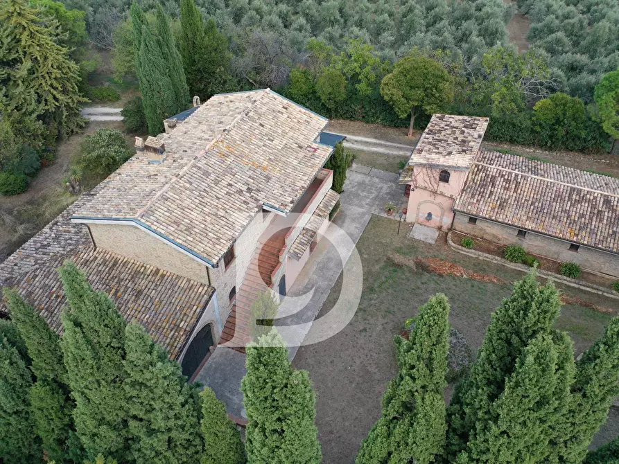 Immagine 26 di Agriturismo in vendita  in Contrada Fiorano a Loreto Aprutino