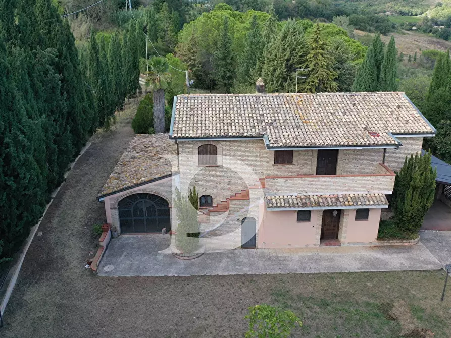 Immagine 27 di Agriturismo in vendita  in Contrada Fiorano a Loreto Aprutino