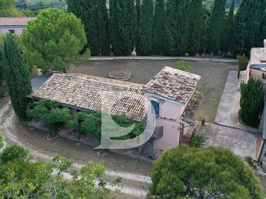 Immagine 24 di Agriturismo in vendita  in Contrada Fiorano a Loreto Aprutino
