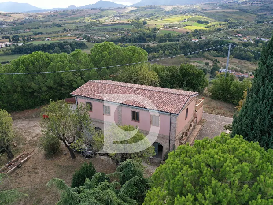Immagine 22 di Agriturismo in vendita  in Contrada Fiorano a Loreto Aprutino