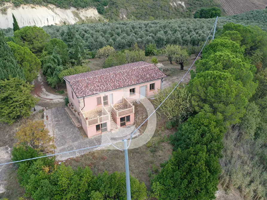 Immagine 18 di Agriturismo in vendita  in Contrada Fiorano a Loreto Aprutino