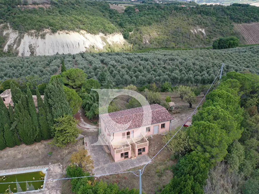 Immagine 19 di Agriturismo in vendita  in Contrada Fiorano a Loreto Aprutino