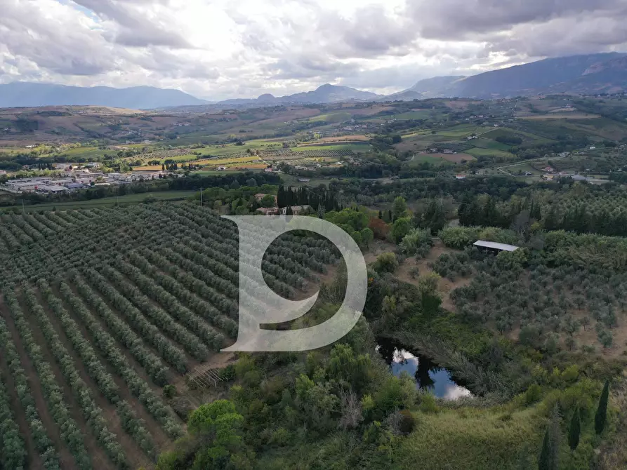 Immagine 76 di Agriturismo in vendita  in Contrada Fiorano a Loreto Aprutino