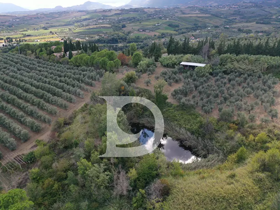 Immagine 74 di Agriturismo in vendita  in Contrada Fiorano a Loreto Aprutino