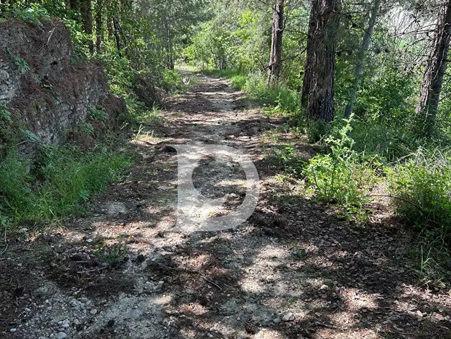 Immagine 9 di Terreno agricolo in vendita  in Contrada Cagno a Atri