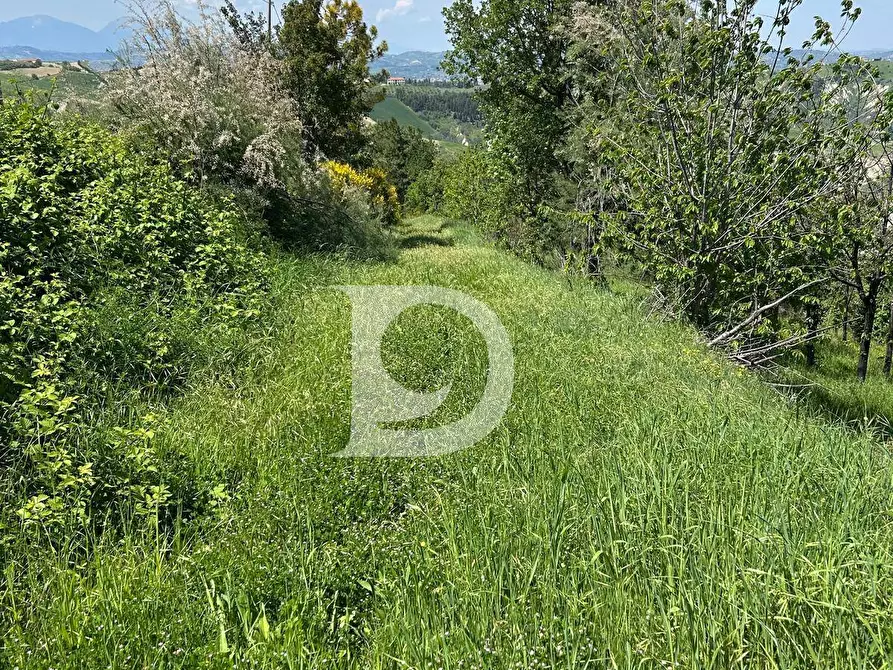 Immagine 10 di Terreno agricolo in vendita  in Contrada Cagno a Atri
