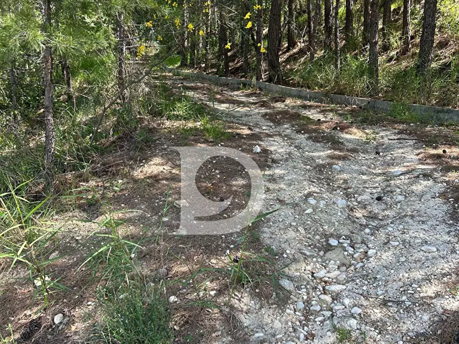 Immagine 11 di Terreno agricolo in vendita  in Contrada Cagno a Atri