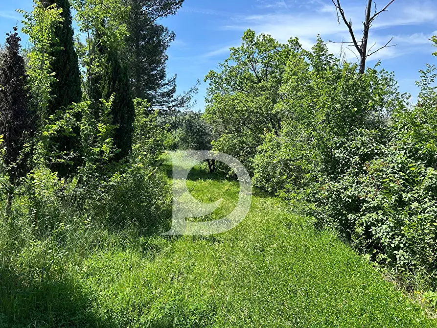 Immagine 14 di Terreno agricolo in vendita  in Contrada Cagno a Atri