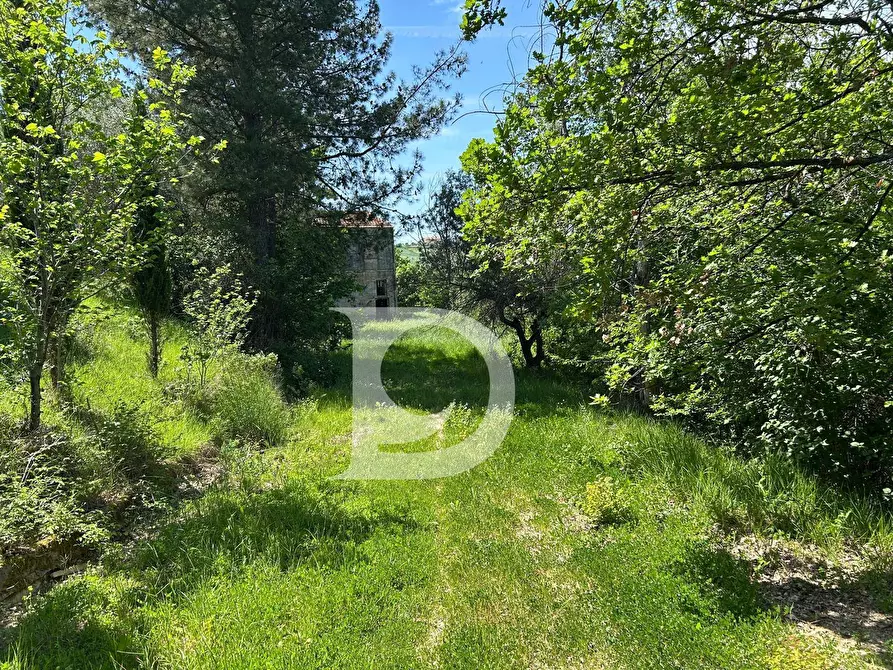 Immagine 7 di Terreno agricolo in vendita  in Contrada Cagno a Atri